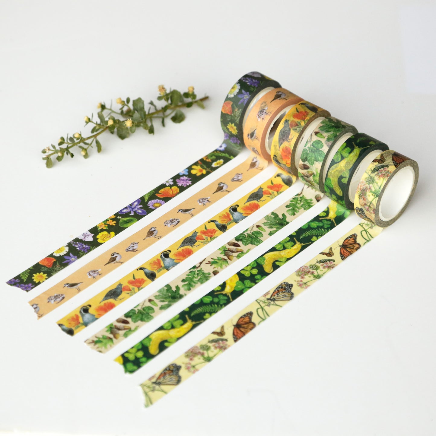 Comparison of five different types of washi tapes designs