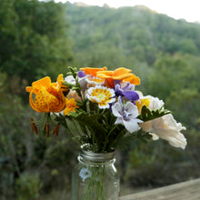 Oakland Star Tulip - Calochortus umbellatus - fiber sculpture, felt flower