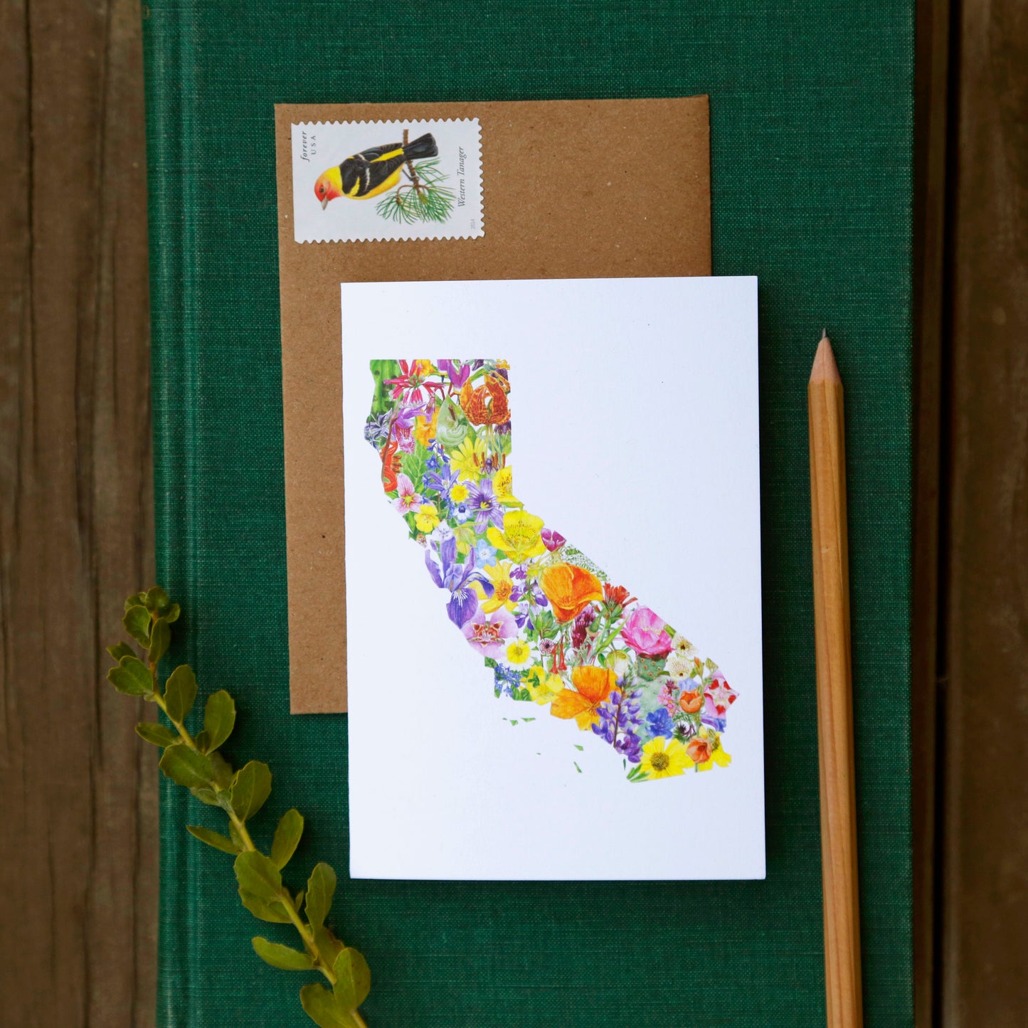 California Silhouette Card Set- 2 each of California Diversity, California Flora, California Wildflowers, and California Wildlife greeting cards