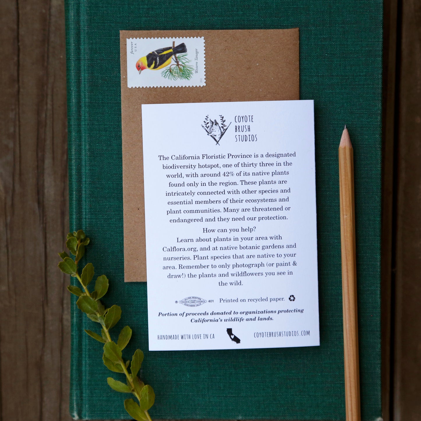 California Flora Card - greeting card, native plant card