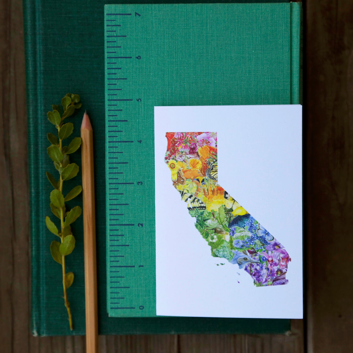 California Diversity Card - greeting card, rainbow card, native plant and animal card