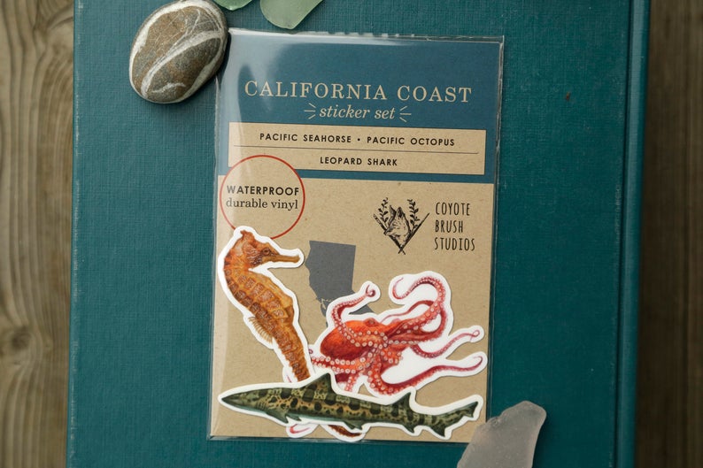 California Coast Vinyl Stickers: Giant Pacific Octopus, Pacific Seahorse, Leopard Shark