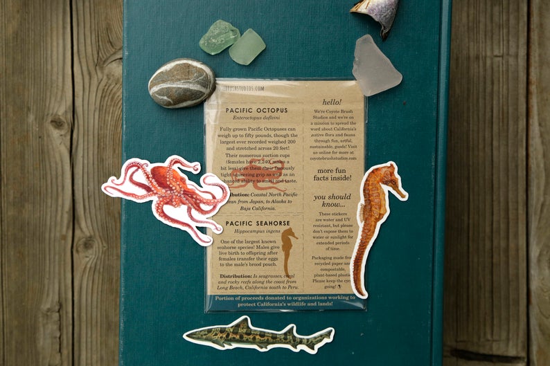 California Coast Vinyl Stickers: Giant Pacific Octopus, Pacific Seahorse, Leopard Shark