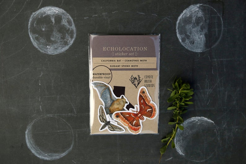 Echolocation Vinyl Stickers: California Bat, Elegant Sphinx Moth, Ceanothus Moth