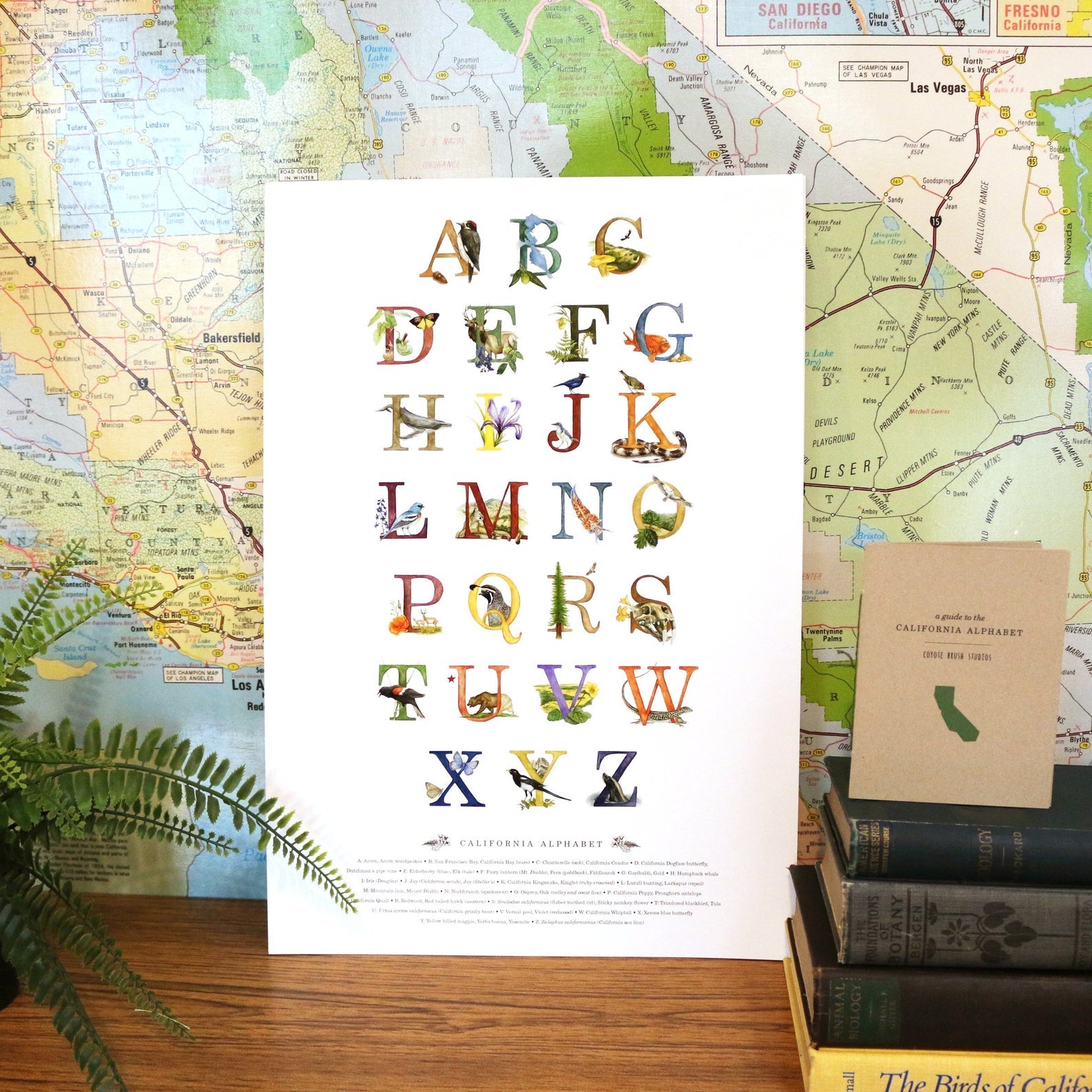 California Alphabet Poster – Coyote Brush Studios