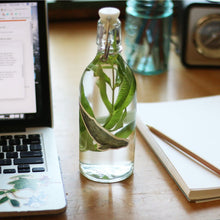 Whale Sticker Set: Two Vinyl Stickers, Humpback & Gray Whale