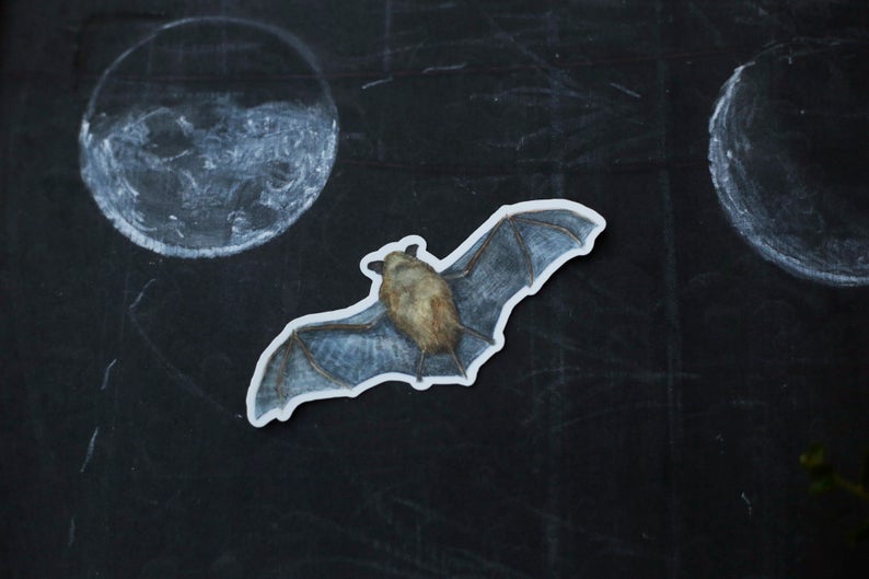 Spooky California Vinyl Stickers: CA Bat, CA Toad, Desert Tarantula