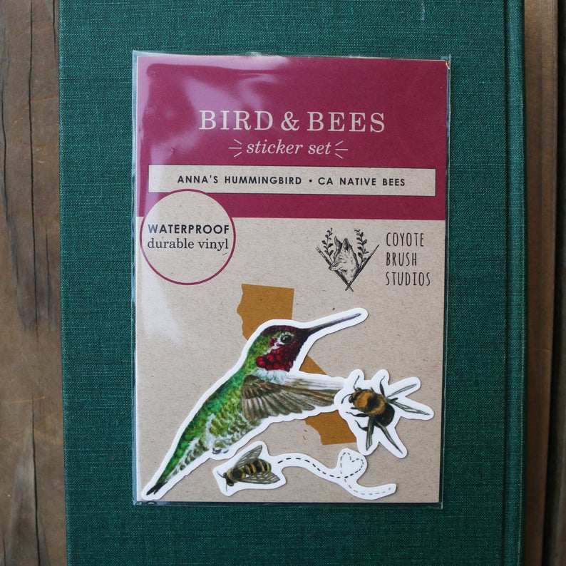 Bird and Bees Vinyl Stickers: Anna's Hummingbird, Native California Bees