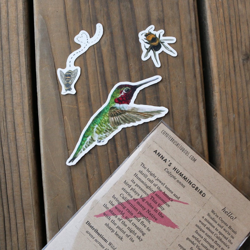 Bird and Bees Vinyl Stickers: Anna's Hummingbird, Native California Bees