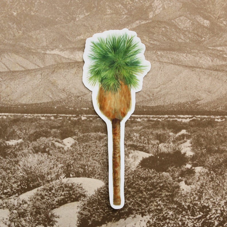 Desert Oasis Vinyl Stickers: Desert Bighorn Sheep, California Fan Palm, Hooded Oriole