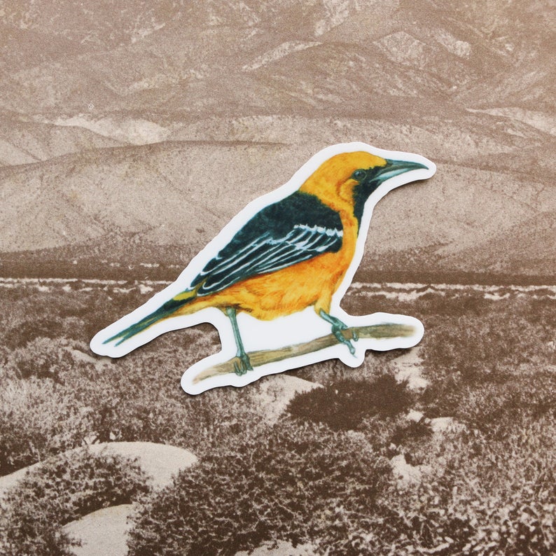 Desert Oasis Vinyl Stickers: Desert Bighorn Sheep, California Fan Palm, Hooded Oriole