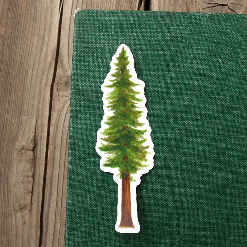 State Symbols Vinyl Stickers: Coastal Redwood, CA Grizzly, Gray Whale