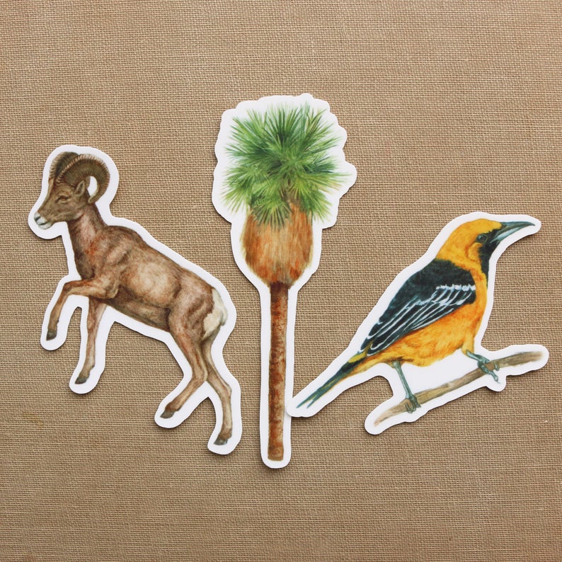 Desert Oasis Vinyl Stickers: Desert Bighorn Sheep, California Fan Palm, Hooded Oriole