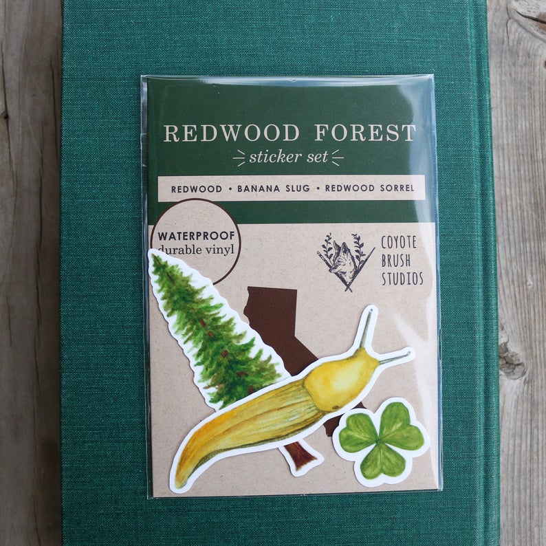 Redwood Forest Vinyl Stickers: Coastal Redwood, Banana Slug, Redwood Sorrel