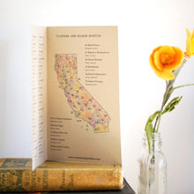 California Wildflower Poster: 45 Native California Wildflowers