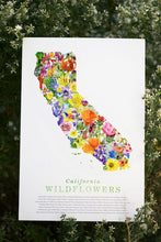 California Wildflower Poster: 45 Native California Wildflowers