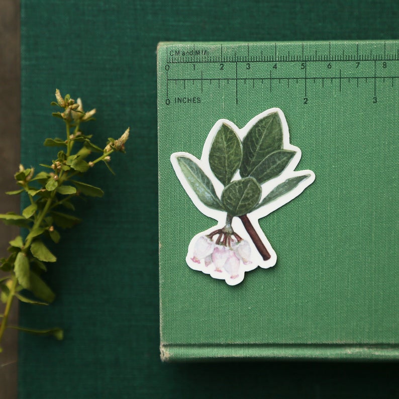 Rubber Plant Sticker – Idlewild Co.