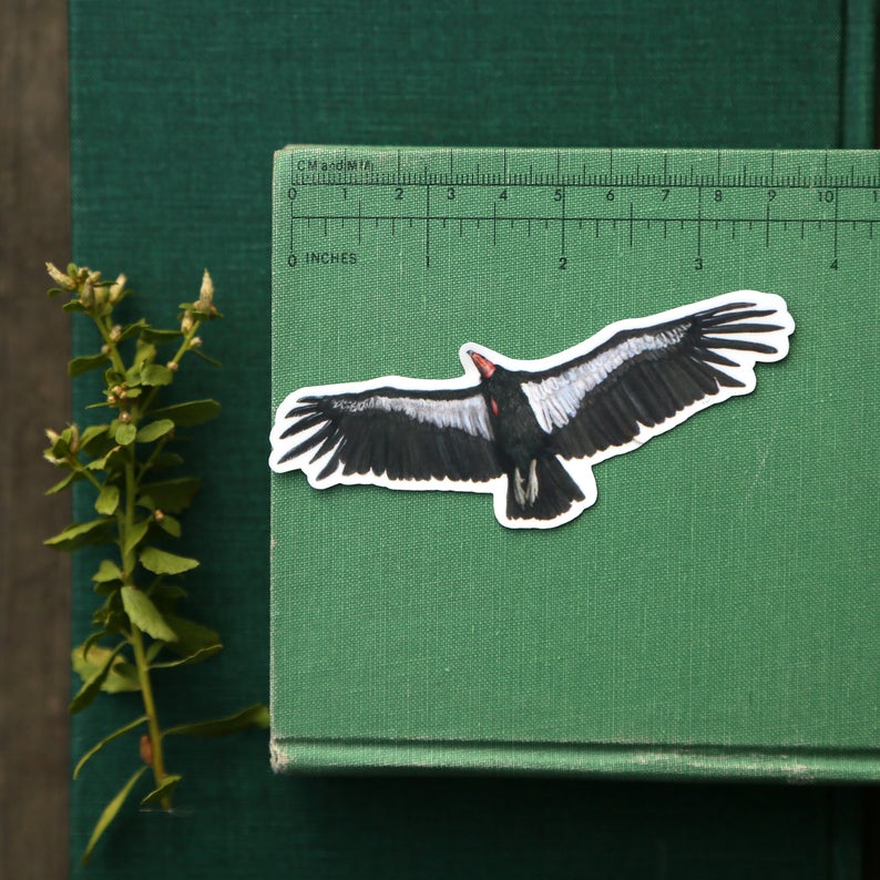 Endangered California Vinyl Stickers: CA Condor, San Joaquin Kit Fox, Franciscan Manzanita