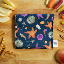 *Seconds Sale* - Tide Pool Reusable Snack Sandwich Bag - Zero Waste - Food Storage Bag - Eco-Friendly - Recycled Plastic Fabric- Intertidal Life