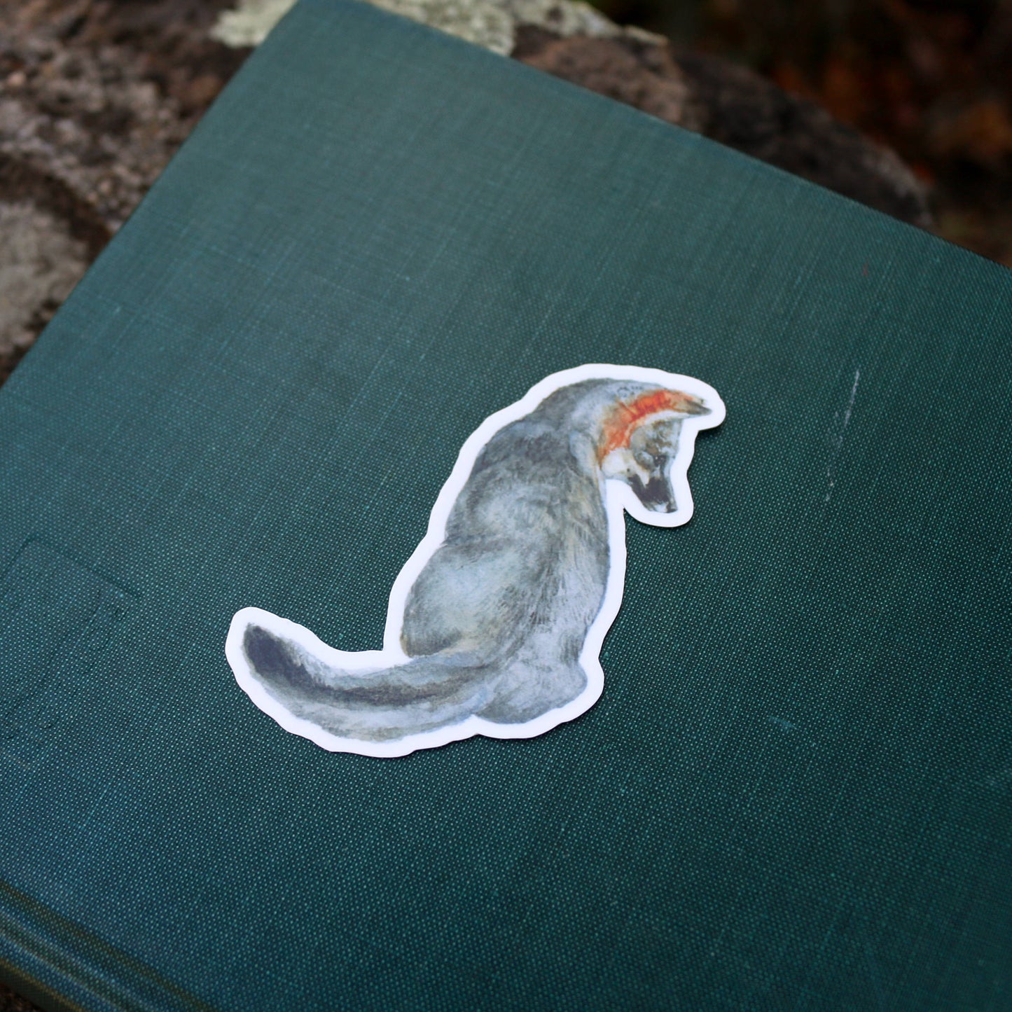 Canines of California Vinyl Stickers: Channel Island Fox, Coyote