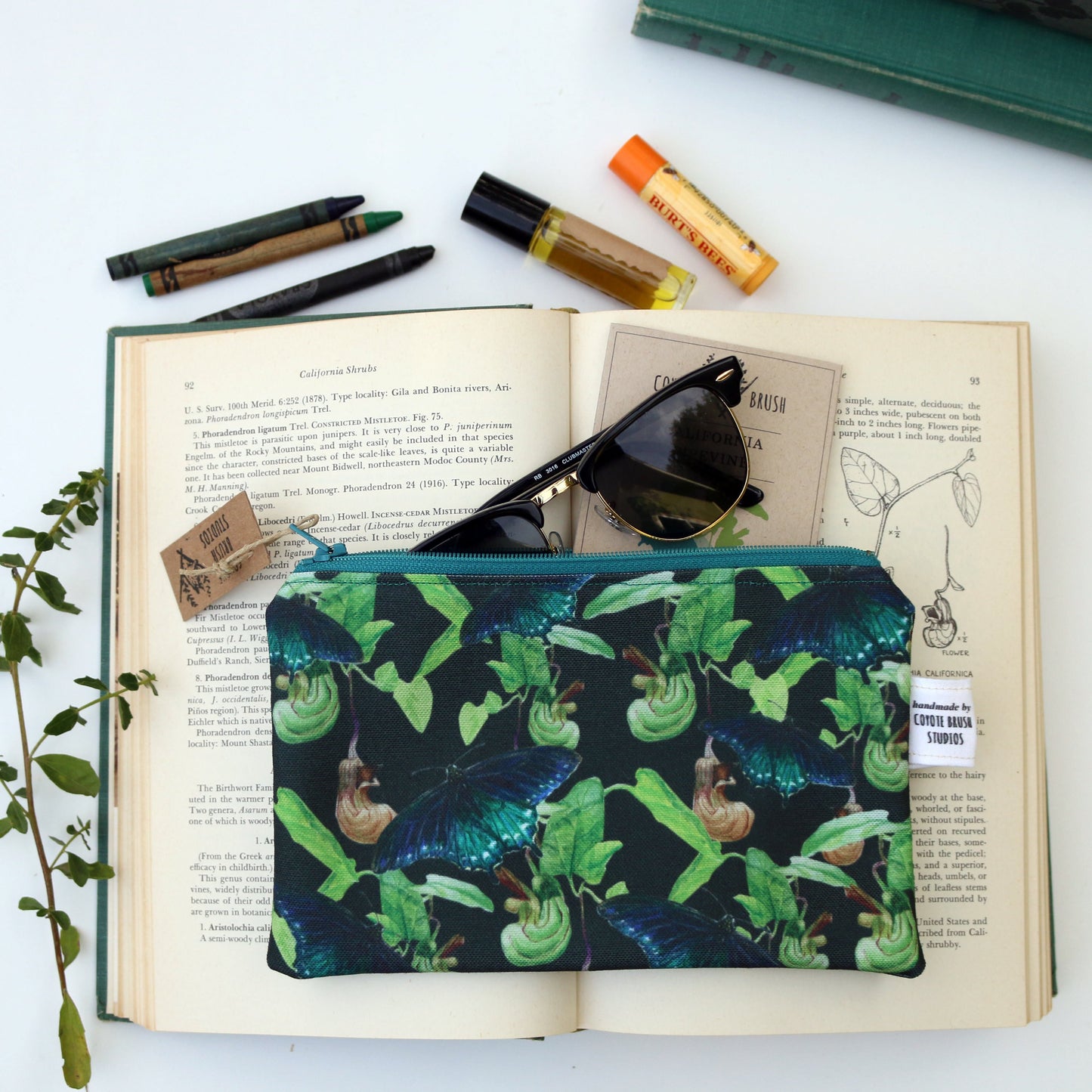 Medium Pipevine Swallowtail Zipper Pouch - Travel Organizer Bag, Flat Purse