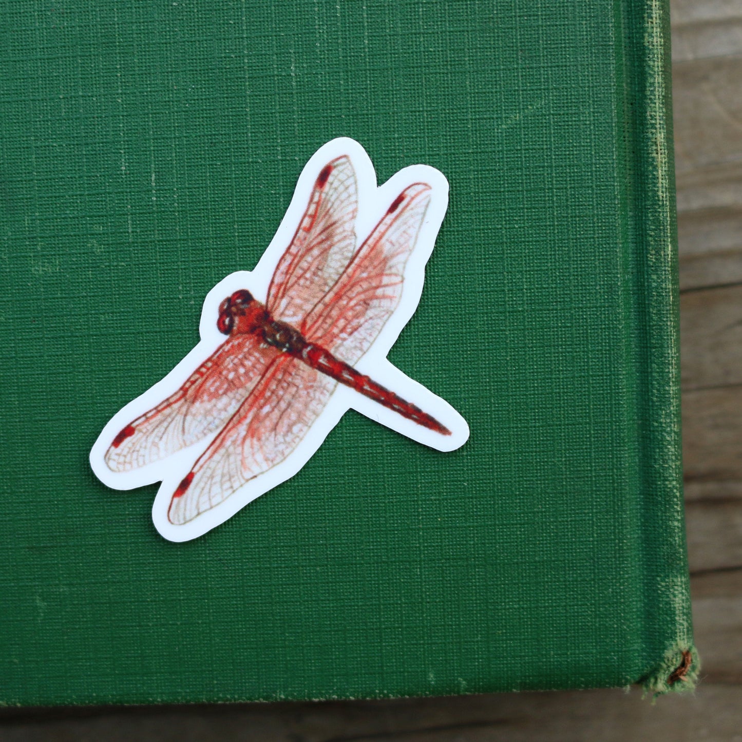 River Residents Vinyl Stickers: River Otter, Rainbow Trout, Flame Skimmer Dragonfly