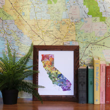 California Diversity watercolor painting art print native California framed 8x10