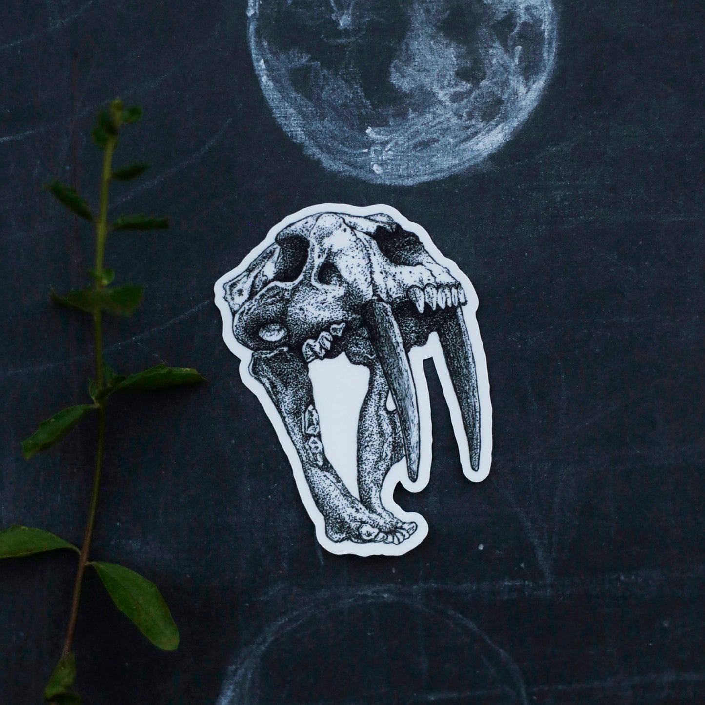 Extinct California Vinyl Stickers: Smilodon Saber Tooth Cat, Dire Wolf Skull