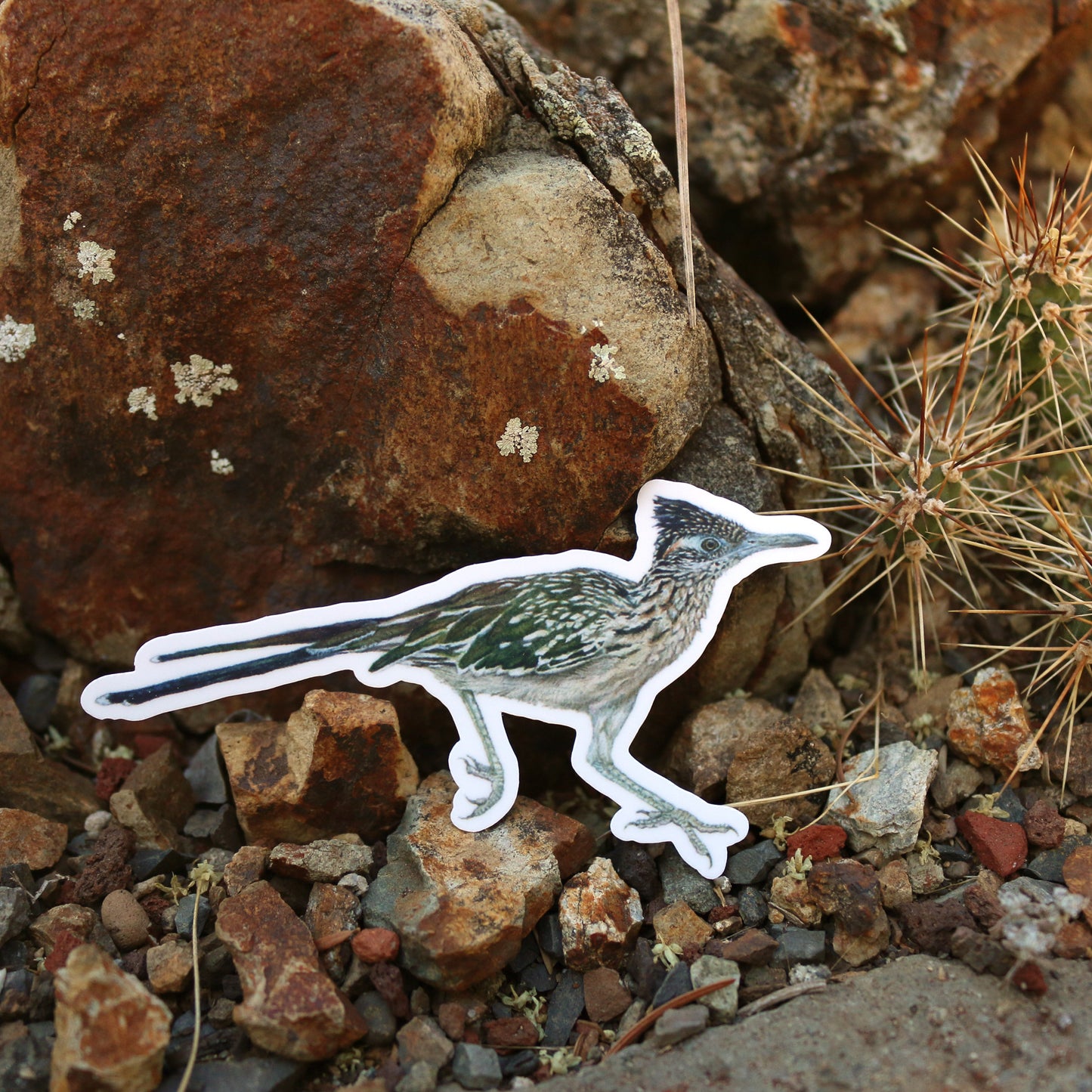 Deserts of California Vinyl Stickers: Roadrunner, Desert Tortoise, Beavertail Cactus