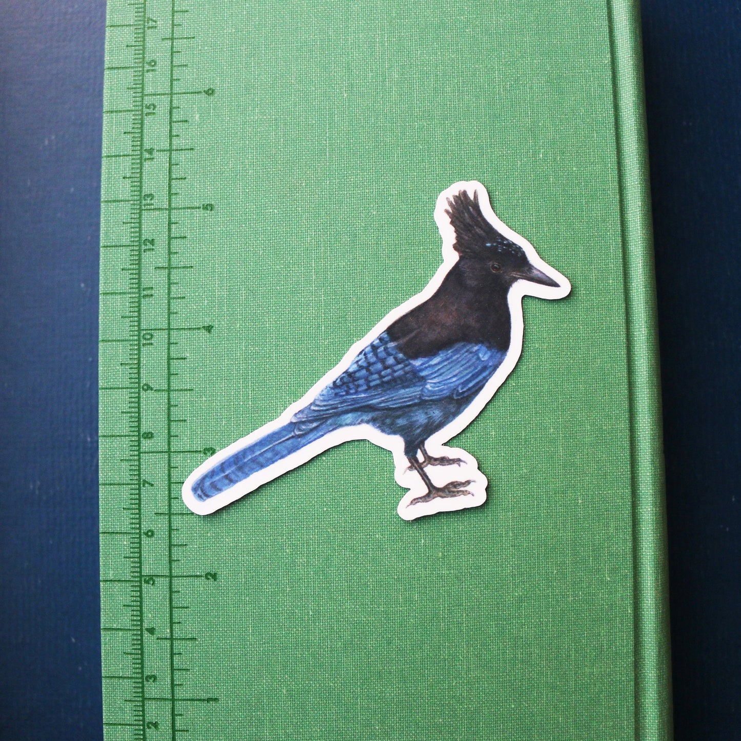 Corvids Vinyl Stickers: Scrub Jay, Yellow Billed Magpie, Steller's Jay