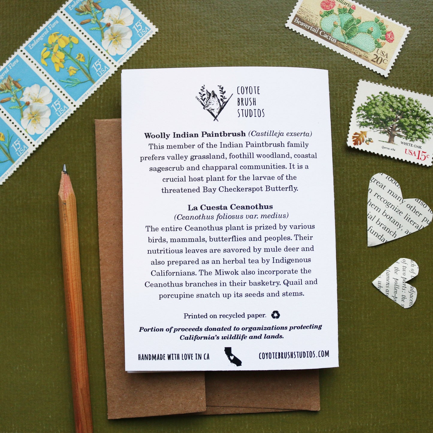 Native Plant Poem - Ceanothus and Woolly Paintbrush Greeting Card
