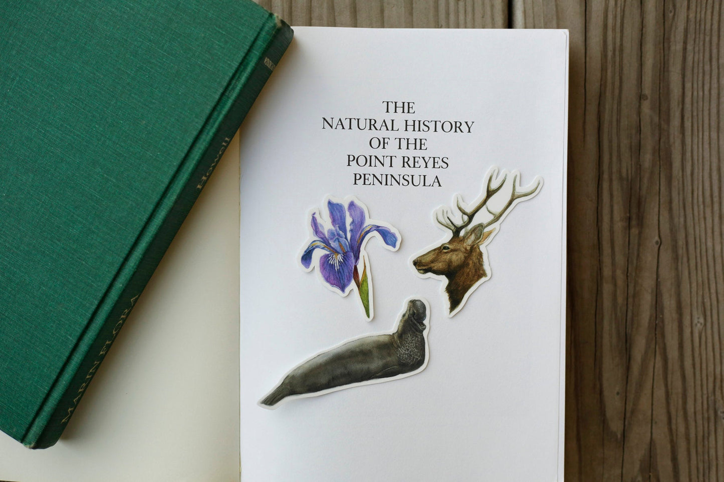 Point Reyes Vinyl Stickers: Douglas Iris, Elephant Seal, Tule Elk