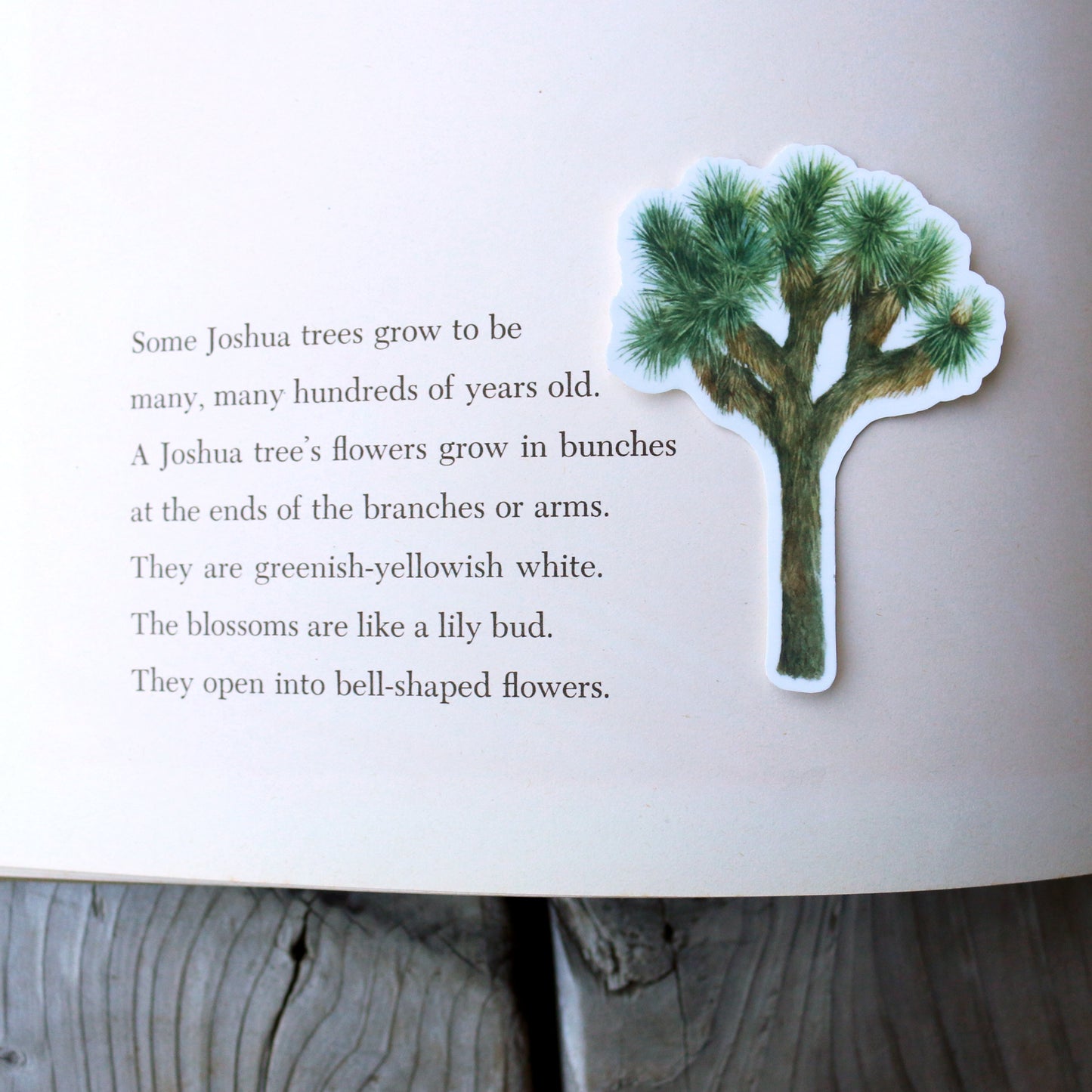Joshua Tree Vinyl Stickers: Ocotillo, Desert Mallow, Joshua Tree