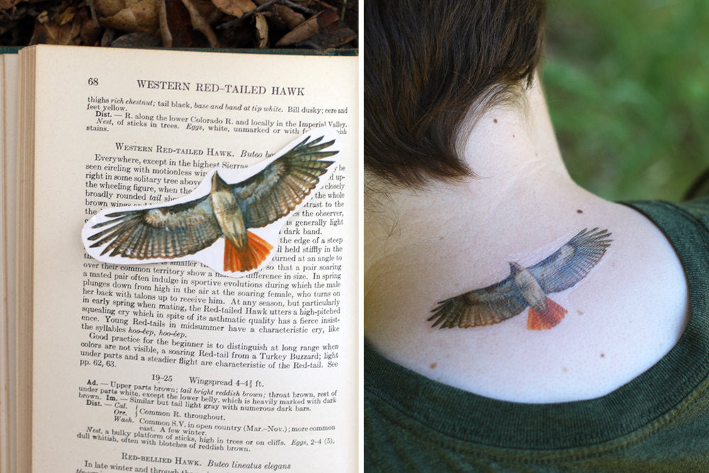 native american hawk tattoo