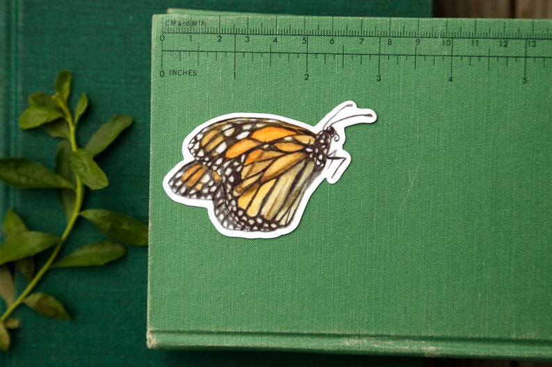 Monarch Metamorphosis- Four Vinyl Stickers