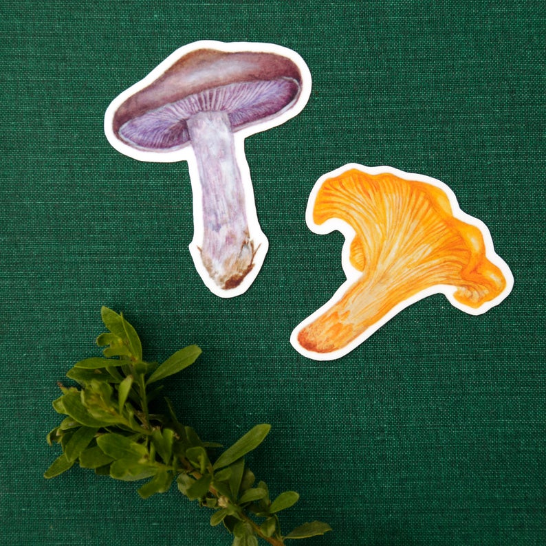 Mushroom Vinyl Stickers: Amanita muscaria, Chanterelle, Blewit
