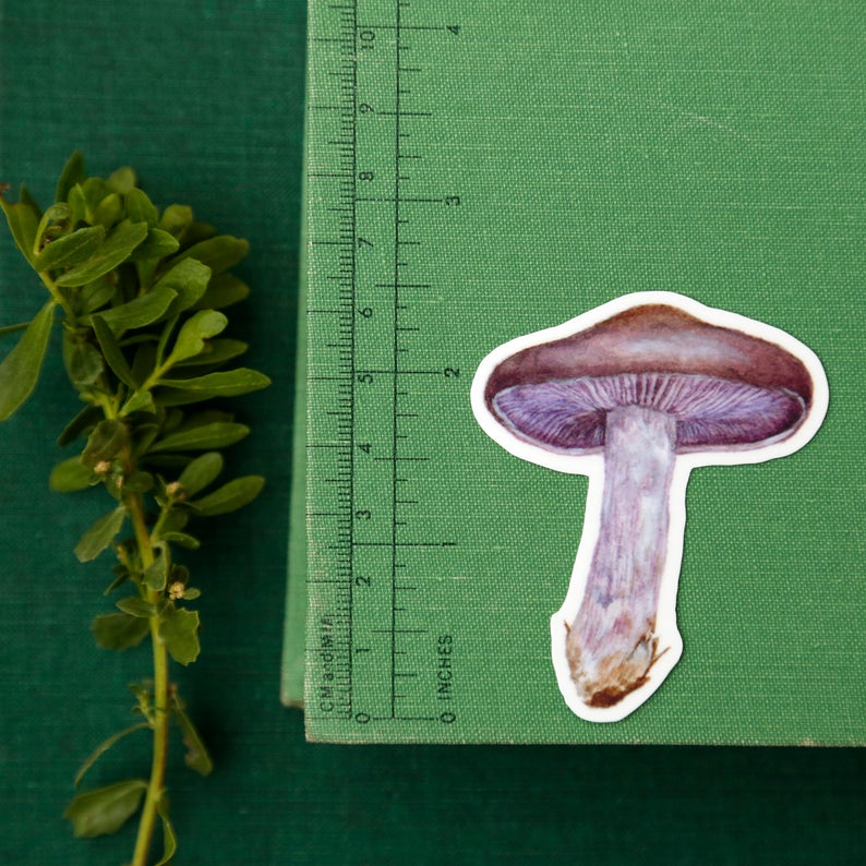 Mushroom Vinyl Stickers: Amanita muscaria, Chanterelle, Blewit