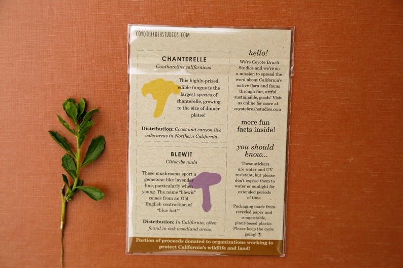 Mushroom Vinyl Stickers: Amanita muscaria, Chanterelle, Blewit