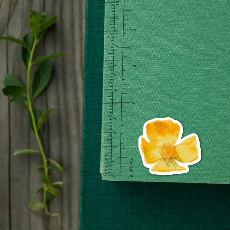 Wildflowers of California Vinyl Stickers: Humboldt's Lily, Bush Poppy, Purple Innocence