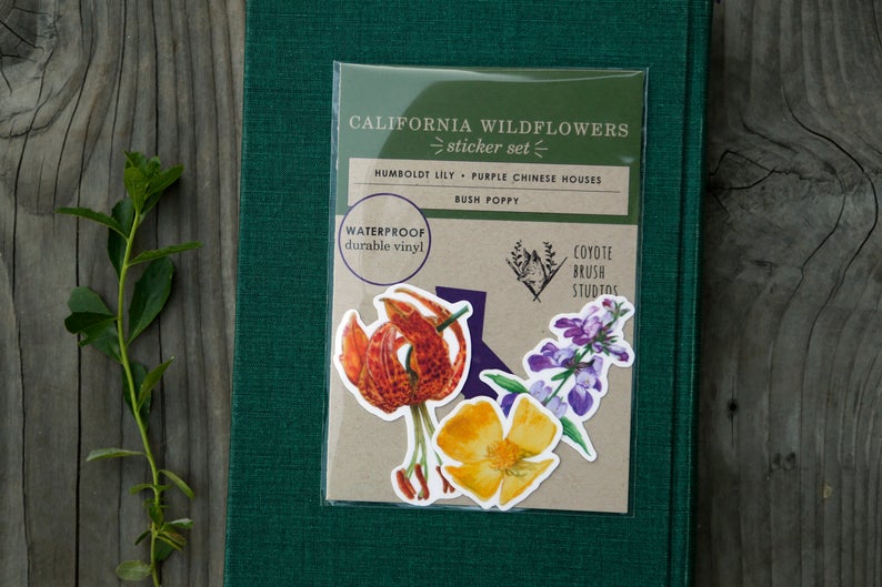 Wildflowers Sticker Book