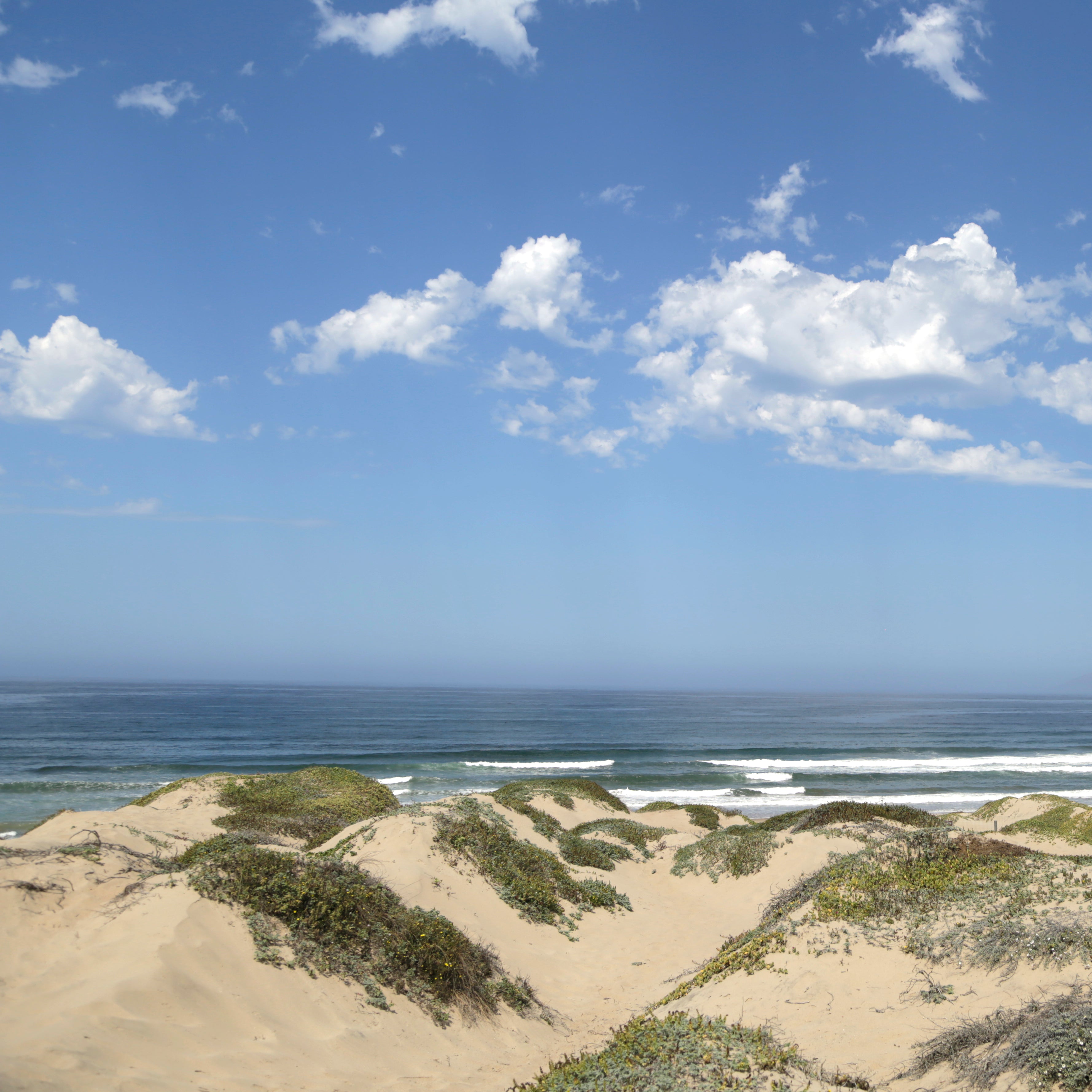 Sandy Shores