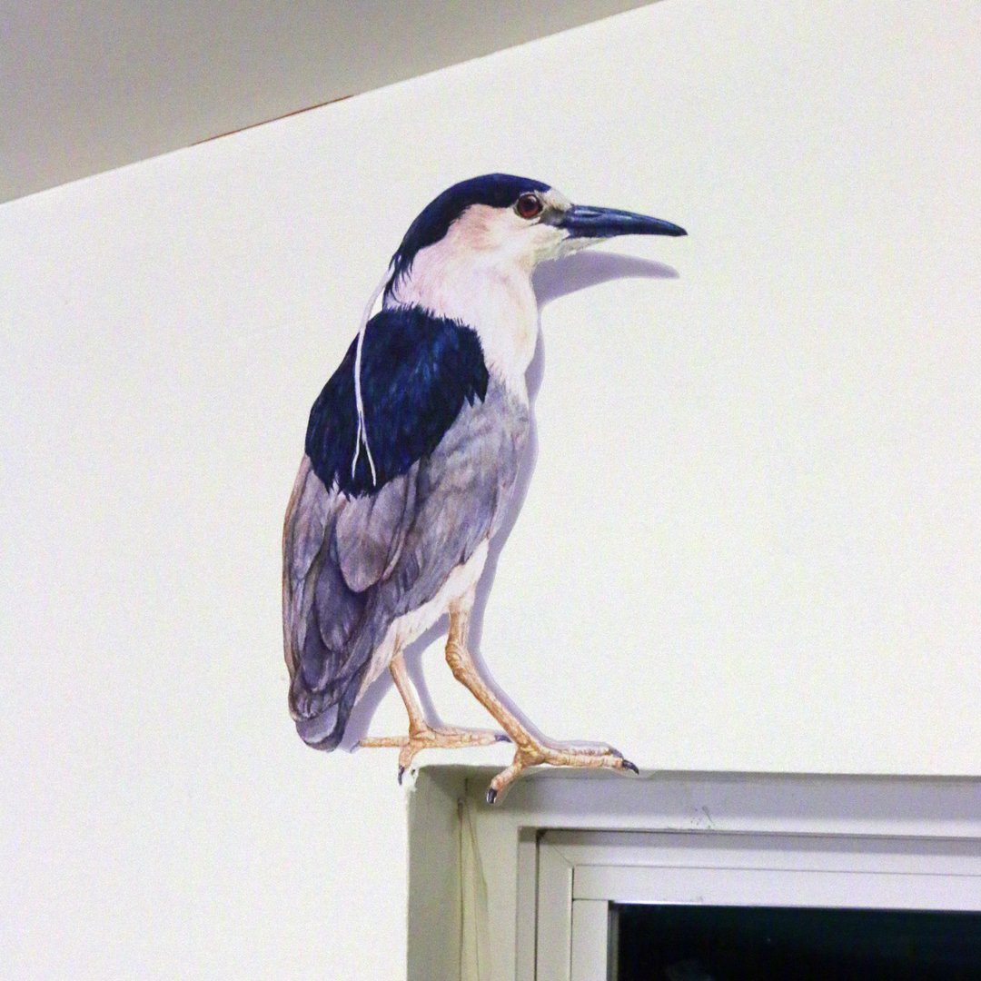 Wall Decals