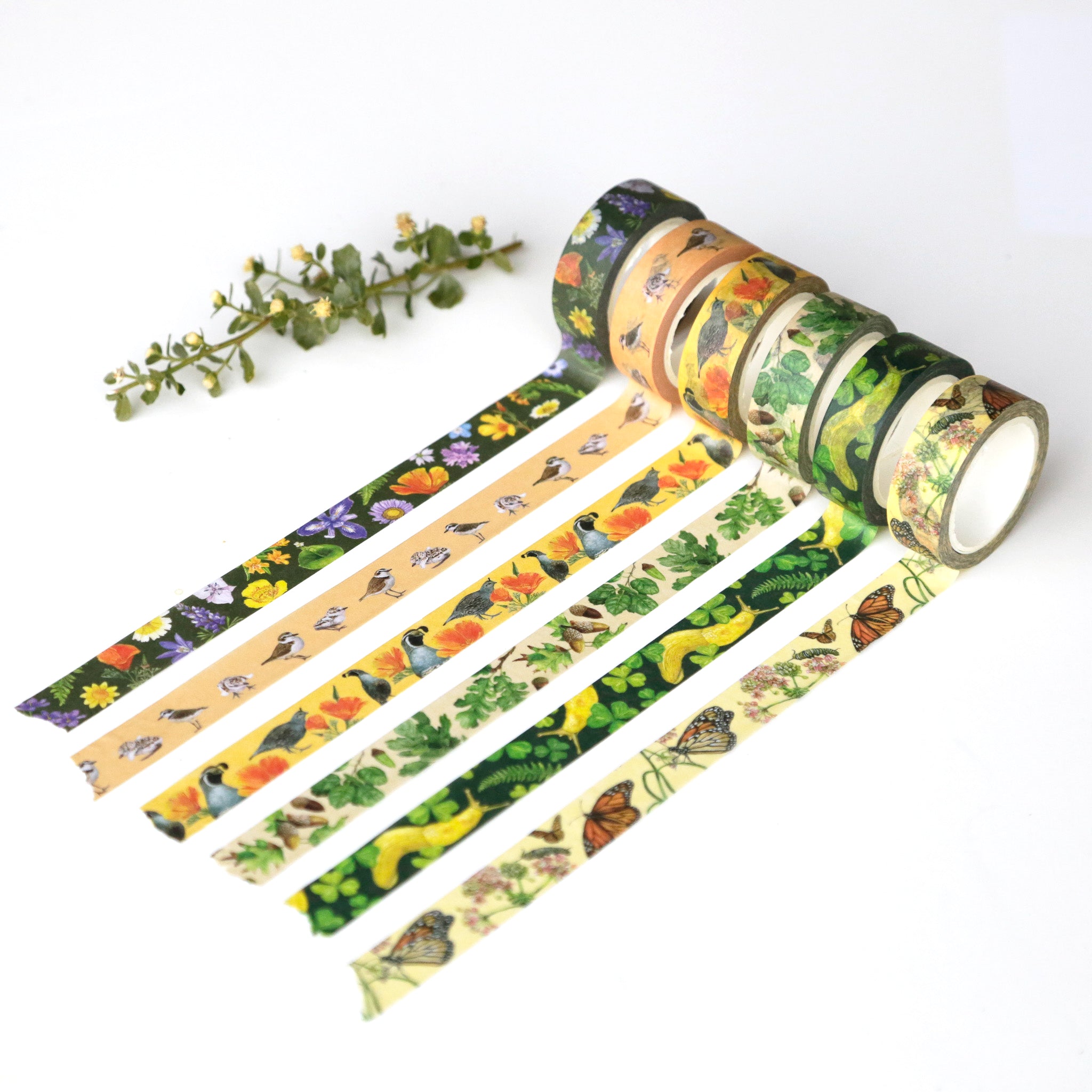 Washi Tape