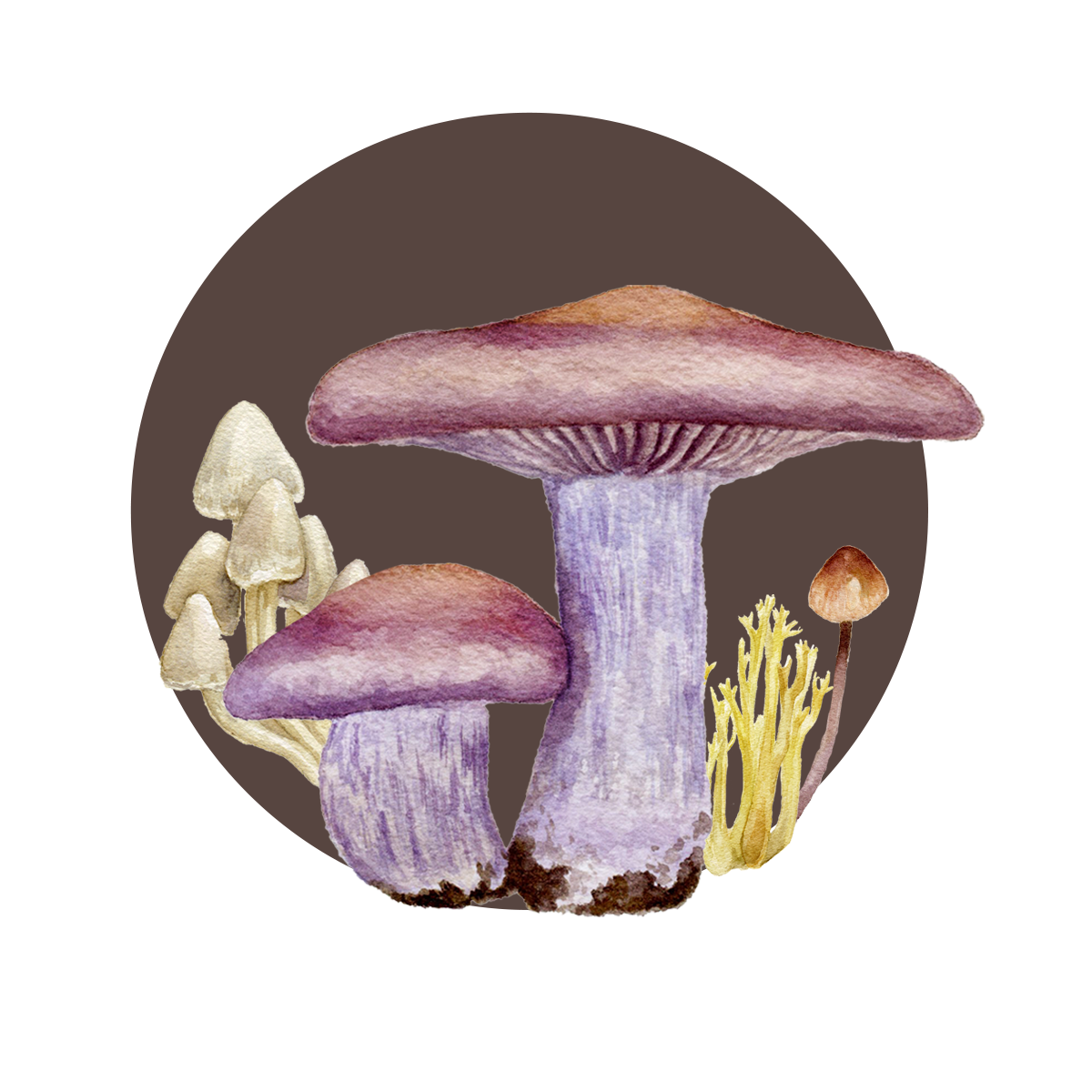 Mushrooms