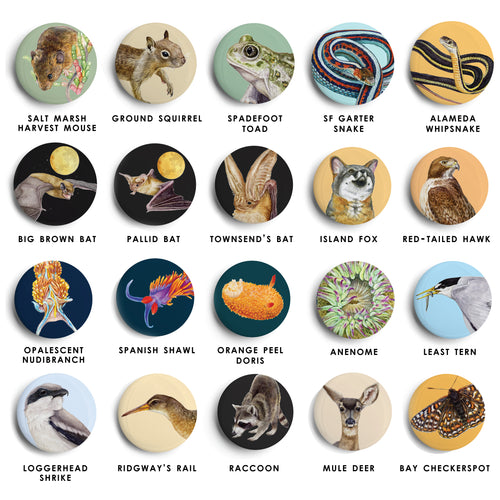 Load image 1 in gallery view. Round Magnets: Mix and Match Set of 4