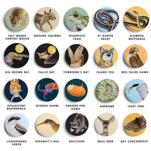 Round Magnets: Mix and Match Set of 4