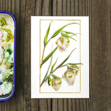 White Globe Lily 5x7 Print