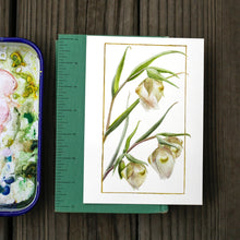 White Globe Lily 5x7 Print