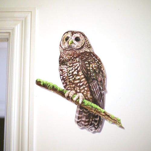 Load image 1 in gallery view. Realistic Northern Spotted Owl perched on a branch next to a door frame.