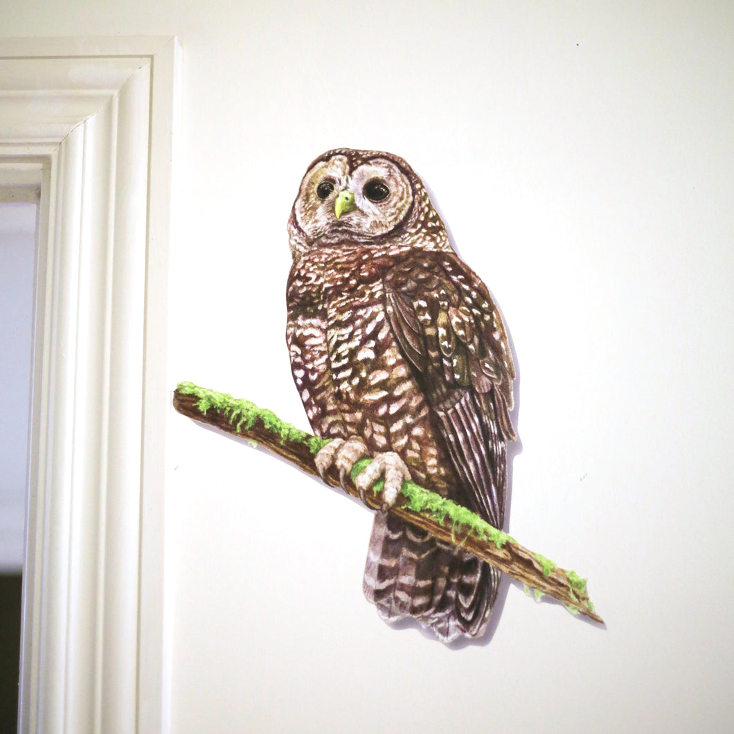 Northern Spotted Owl Wall Decal